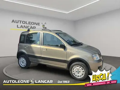 Usata Fiat Panda 4x4 Climbing 60 CV (44 kW) 2007 Bronzo Utilitaria