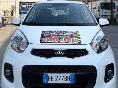 Usata Kia Picanto 67 CV (49 kW) 2016 Bianco Utilitaria