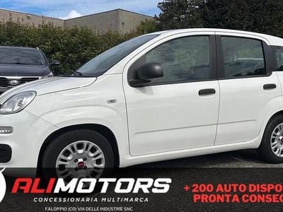 Usata Fiat Panda Easy 69 CV (50 kW) 2020 Bianco Utilitaria