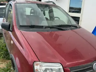 Usata Fiat Panda 4x4 60 CV (44 kW) 2006 Utilitaria