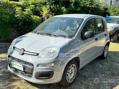 Usata Fiat Panda Easy 95 CV (69 kW) 2018 Grigio Utilitaria
