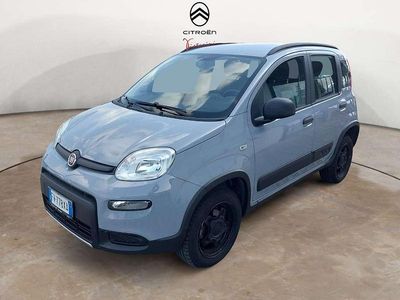 Usata Fiat Panda 4x4 84 CV (61 kW) 2019 Grigio Utilitaria