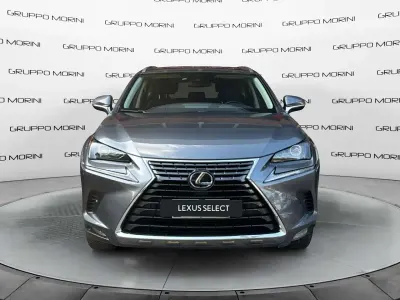 Usata Lexus NX300h