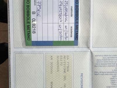 Usata Fiat Doblò Active 103 CV (75 kW) 2009 Argento Monovolume