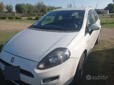 Usata Fiat Punto