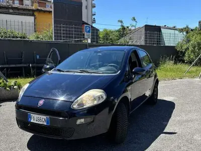 Usata Fiat Punto Lounge 77 CV (56 kW) 2015 Utilitaria