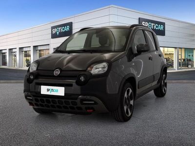 usata Fiat Panda Cross 1.0 FireFly 70cv S&S Hybrid