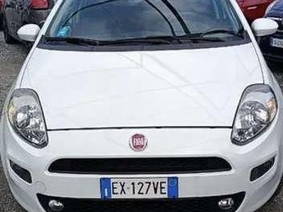 Usata Fiat Punto Easy 77 CV (56 kW) 2014 Berlina