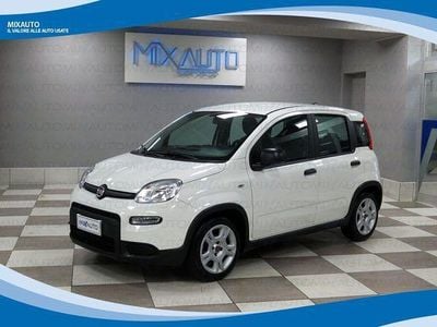 Usata Fiat Panda 70 CV (51 kW) 2024 Bianco Utilitaria