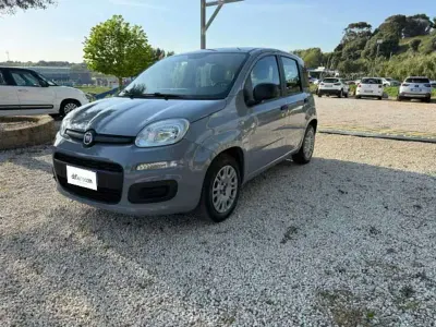 Usata Fiat Panda City Life 69 CV (50 kW) 2022 Grigio Utilitaria