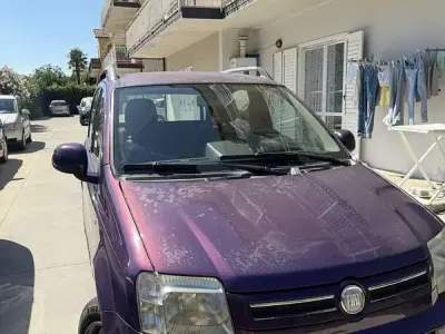 Usata Fiat Panda Dynamic 60 CV (44 kW) 2009 Lilla Utilitaria