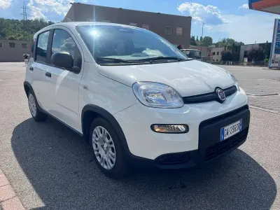 Usata Fiat Panda