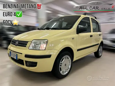 Usata Fiat Panda Dynamic 60 CV (44 kW) 2009 Giallo Utilitaria