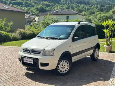 Usata Fiat Panda 4x4 Climbing 69 CV (50 kW) 2007 Bianco Utilitaria
