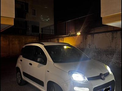 Usata Fiat Panda 85 CV (62 kW) 2012 Bianco Utilitaria