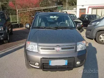 Usata Fiat Panda 4x4 Climbing 75 CV (55 kW) 2011 Grigio Utilitaria