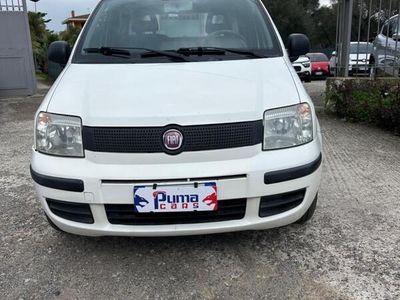 Usata Fiat Panda Emotion 75 CV (55 kW) 2011 Bianco Utilitaria
