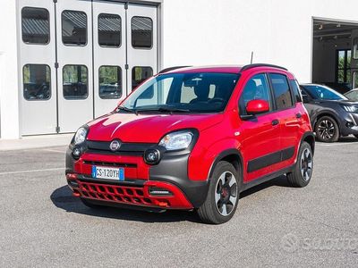 Usata Fiat Panda Cross Cross 69 CV (50 kW) 2024 Rosso Utilitaria