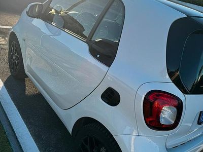 Usata 2018 Smart ForTwo Coupé Utilitaria | 13.000 € (Ottimo prezzo)