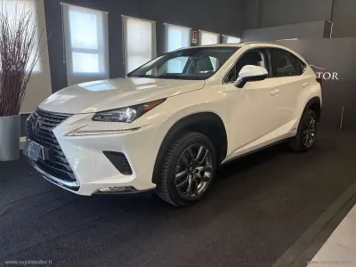 Usata Lexus NX300h Executive Line 155 CV (114 kW) 2018 Bianco SUV
