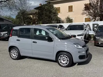 Usata Fiat Panda 69 CV (50 kW) 2019 Grigio Utilitaria