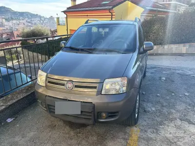 Usata Fiat Panda 4x4 69 CV (50 kW) 2010 Marrone Utilitaria