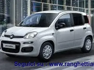 Usata Fiat Panda 4x4 Pop 84 CV (61 kW) 2020 Bianco Utilitaria