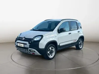 Usata Fiat Panda Cross Cross 85 CV (62 kW) 2023 Utilitaria