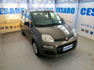 Usata Fiat Panda S 70 CV (51 kW) 2022 Grigio maestro (metallizzato) Utilitaria