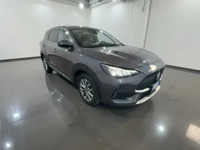 Usata MG HS