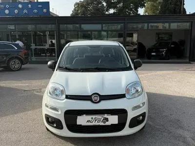 Usata Fiat Panda 69 CV (50 kW) 2021 Bianco Utilitaria