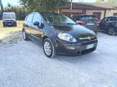 Usata Fiat Punto Evo Active 75 CV (55 kW) 2010 Nero Utilitaria