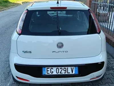 Usata Fiat Punto Evo 77 CV (56 kW) 2011 Bianco Utilitaria