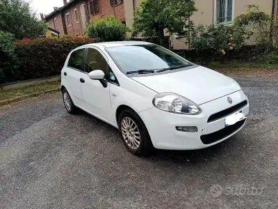 Usata Fiat Punto 77 CV (56 kW) 2014 Bianco Utilitaria