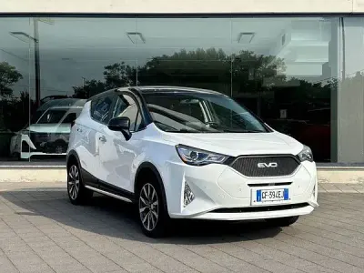 Usata EVO Evo 4
