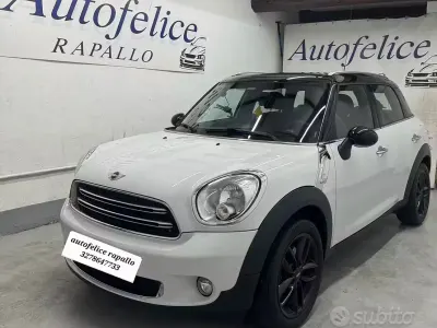 Usata Mini Park Lane Countryman