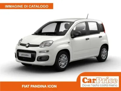 Nuova Fiat Panda Icon 65 CV (47 kW) 2026 Utilitaria