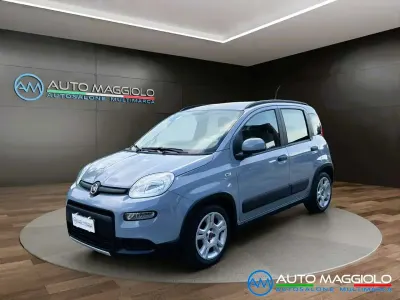 Usata Fiat Panda City Life 69 CV (50 kW) 2023 Grigio Utilitaria