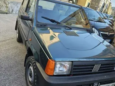 Usata Fiat Panda 4x4 Trekking 45 CV (33 kW) 1994 Utilitaria