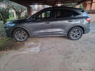 Usata Ford Kuga ST-Line X 152 CV (111 kW) 2023 Grigio SUV