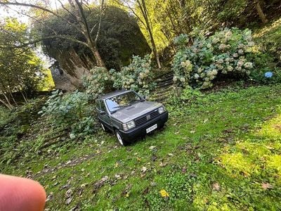 Usata Fiat Panda 4x4 Trekking 50 CV (36 kW) 1991 Grigio Utilitaria