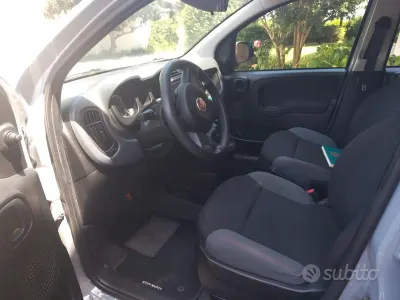 Usata Fiat Panda 69 CV (50 kW) 2019 Grigio Utilitaria