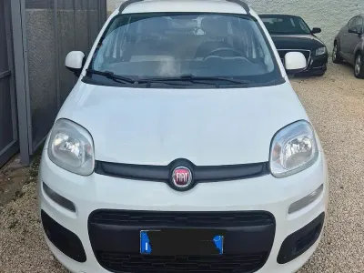 Usata Fiat Panda Lounge 80 CV (58 kW) 2013 Bianco Utilitaria