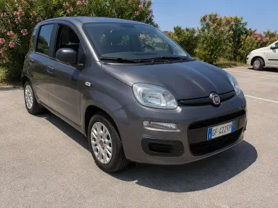 Usata Fiat Panda City Life 69 CV (50 kW) 2021 Utilitaria