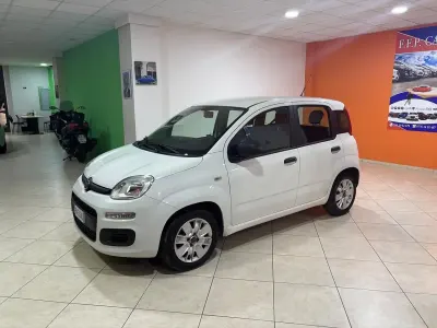 Usata Fiat Panda Lounge 69 CV (50 kW) 2017 Bianco Utilitaria
