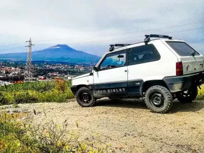Usata Fiat Panda 4x4 50 CV (36 kW) 1988 Utilitaria