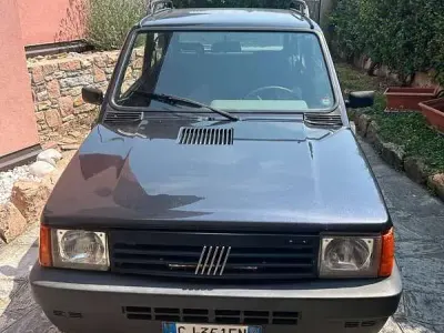 Usata Fiat Panda 4x4 Climbing 54 CV (39 kW) 2003 Nero Utilitaria