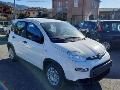 usata Fiat Panda Panda My23 1.0 70cv Hybrid