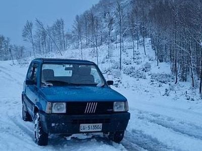 Usata Fiat Panda 4x4 1989 Utilitaria