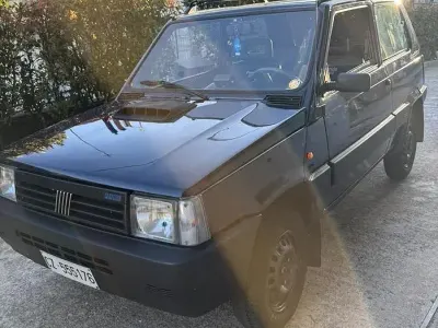 Usata Fiat Panda 4x4 54 CV (39 kW) 1998 Nero Utilitaria
